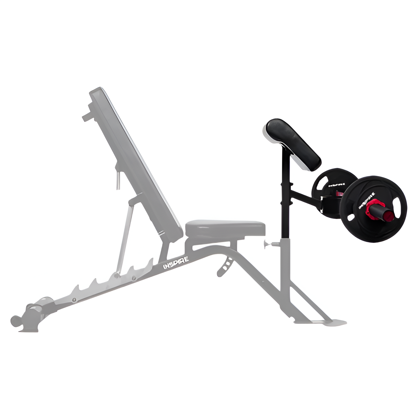 PREACHER CURL ATTACHMENT